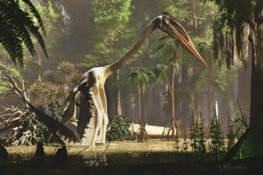 Quetzalcoatlus Height