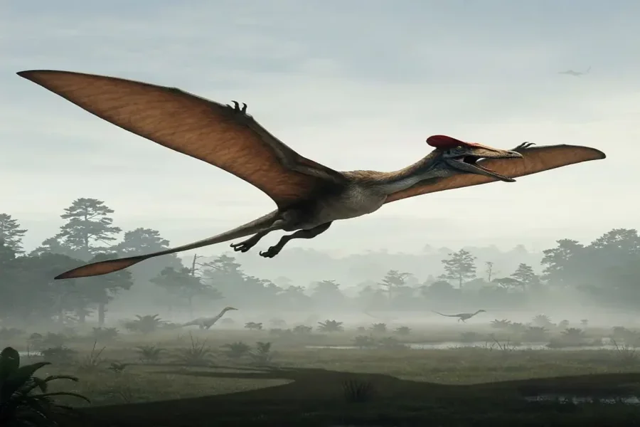 Quetzalcoatlus Height